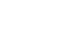 Disguise Logo White transparent copy